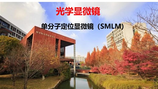 19. 单分子定位超高分辨显微镜（SMLM)