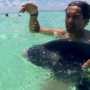 Feeding time for our local wildlife! 🐠 Anyone know the name of this species of fish? Hint: whilst they live in both Rarotonga and Aitutaki, they're infamously known to follow alongside lagoon cruises in Aitutaki. | Cook Islands