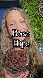 Did you know that rose hips are a vitamin c powerhouse?! They have a rich history of historical use, you can brew into tea, make a syrup, or process to make skincare. I put rose hips in my Elderberry syrup, my herbal teas and will show yall how to make a rose hip syrup tomorrow! After roses bloom they develop the rose hip, which is technically the fruit of the rose. I don't harvest my rose hips because I don't have a very medicinal species of rose, but I hope to soon! How do you use rose hips? I