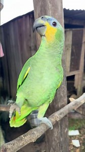 The most beautiful thing in the world ❤️🥺