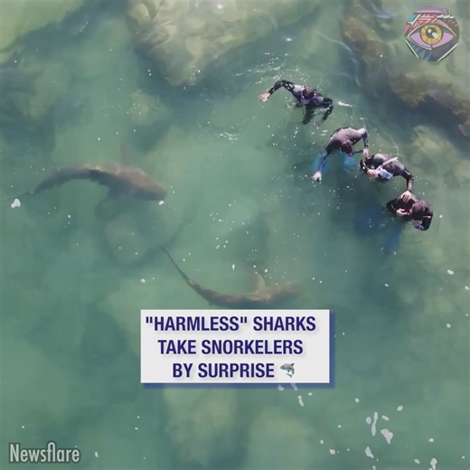 133K views · 150 reactions | The way they start hugging each other in despair is just 藍 | Bright Side | Facebook