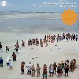 50K views · 700 reactions | High school seniors celebrated their graduation Florida Keys style last week. Some members of Coral Shores High School's Class of 2021 tossed their graduation caps in the air on a sandbar off Islamorada. https://cbsn.ws/3wJ7Od6 | CBS Sunday Morning | Facebook