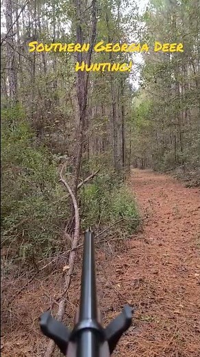 Southern Georgia Deer Hunting!