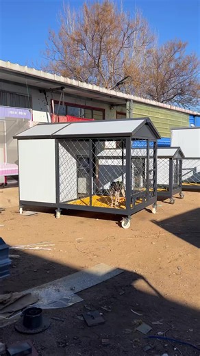 Modern Doghouse Ideas for Stylish Pets