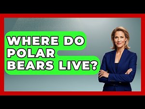 Where Do Polar Bears Live? - Polar Regions Uncovered