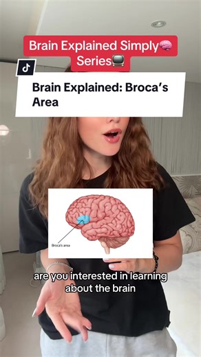 Understanding Broca’s Area in a Simple Way