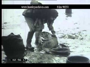 Cockle Harvesting near Swansea, 1940's -- Film 90351
