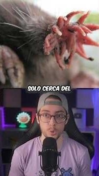 Animal facts you didn't know 😱 #shorts