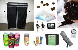 Auto-flowering Grow Journal - 6.7 oz under 250W HPS! | Grow Weed Easy