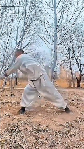 Title: Master Baguaquan & Zheng Baji Morning Workouts - Boost Your Qi