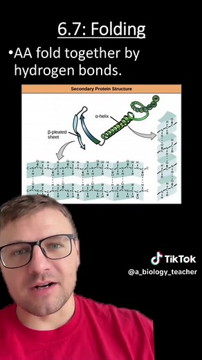 Understanding Protein Folding in AP Biology Unit 6.7