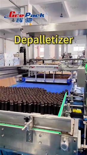 Automatic Oral Liquid Glass Bottle Depalletizer | Pharma Packaging Line