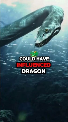 The Epic History of Dragons: From Myth to Legend! 🐉📜✨