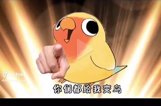 Colorful Animated Birds Expressing Emotions