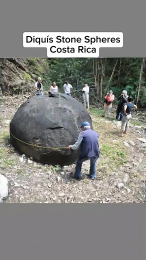 1.5K views | Strangest things in the forest  | History Mystery Tok | Facebook