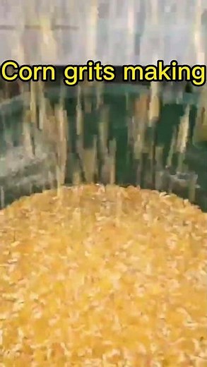 Mastering Corn Grits Production: Your Guide to Using the Corn Grits Making Machine #corn #maize