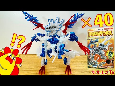【恐竜】ほねほねザウルスを大量開封！最強の巨大ロボットを組み立て合体♪食玩・組み立て・子供向け知育教育★サンサンキッズTV★