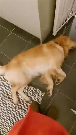 Selina Amy Dyos (@selinaamy)’s videos with original sound - Selina Amy Dyos