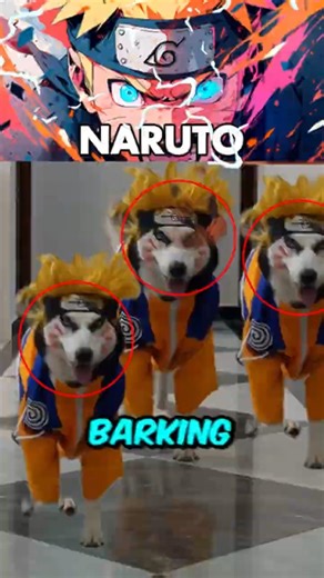 3 Dogs Who Became Naruto Characters 😭🐶 (You Won’t Believe #2)