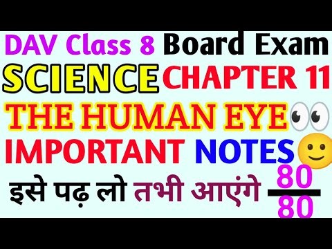 DAV Class 8 Science Chapter 11 The Human Eye Notes🔥🔥