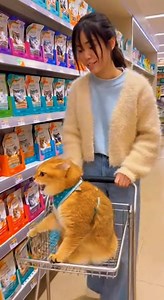 Get ready to laugh! This funny cat video captures hilarious cat movements, crazy reactions, and unexpected moments that will instantly make your day better. From silly jumps to funny faces, this cat proves why cats rule the internet. Perfect for reels, shorts, and memes — guaranteed smiles, laughs, and repeat views. Watch till the end for maximum fun! #FunnyCats #catfunnyvideos #FunnyCats #catcomedy #laughoutloudnetwork #cutecats #catlovers #PetComedy #viralcats #funnyreels #trendingvideo #catso