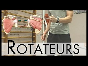 COIFFE DES ROTATEURS- RENFORCEMENT