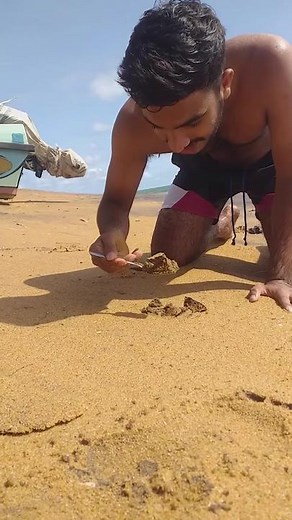 The Dangers of Eating Sand: Why You Shouldn't Try It!