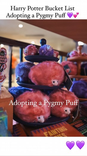 Sarah | Wizarding Creator on Instagram: "💜 Adopt a Pigmy Puff from Diagon Alley! 💜 Send to someone you want to adopt a Pygmy Puff with and save for your next trip to Universal Studios! ➡️ Did you know when you adopt a Pygmy Puff from Wizards Wheezes Wizards you will get a Adoption Ceremony?! ✨ first pick out the perfect new pet and choose a name ✨ Then after your purchase, the shop keeper will make an announcement celebrating your adoption and afterwards will tell you special instructions on h