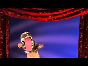 Folkmanis® Crocodile Stage Puppet Demo - Retired