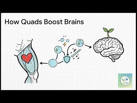 Benefits of the Quadriceps for Physical and Cognitive Health!