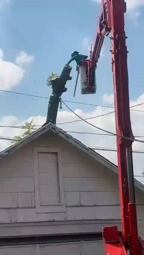 Behind the house. Near power lines. Done the right way 🌳✔️ This tight-space tree removal was handled with precision and care. Our arborist used a CMC lift for controlled access and professional cutting equipment to safely remove the tree without impacting nearby structures. No mess. No stress. Just expert tree service you can rely on 🙌 Choose KD Tree Service for: ✔️ Safe residential tree removal ✔️ Skilled arborists ✔️ Lift-assisted solutions ✔️ Clean, efficient work Got a tricky tree situatio