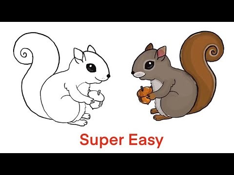 How to draw a Squirrel for kids