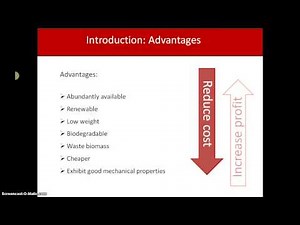 Natural fibre reinforced polymer composite