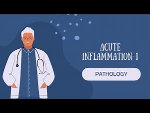 Inflammation | Acute Inflammation, Mediators & Cardinal Signs Explained | Pathology Lecture