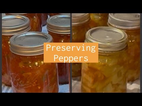 Fresh Salsa & Spicy Hot Peppers in Sauce