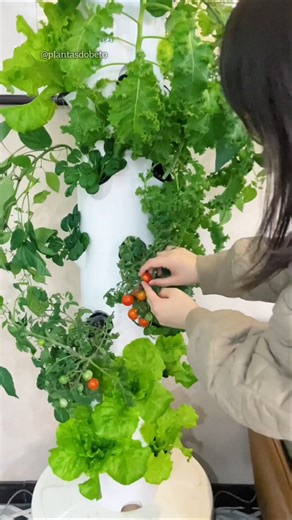 torre hidropônica/ horta vertical