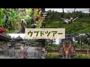 【バリ島②カーチャーター編】ウブドの絶景＆伝統のバリ島！ライステラスやゴアガジャ遺跡を巡る激安カーチャーターツアー Ubud, Bali