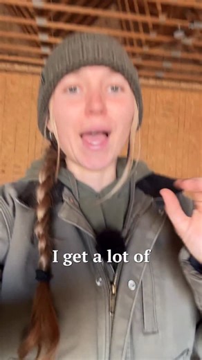 Skylee on Instagram: "The systems you have in place determine how much stress and time handling sheep will take. Although they can be handled without any systems, entirely by hand, it can be stressful and exhausting for both you and your sheep. We’ve gotten really good at working ours without any infrastructure, but it’s not easy and takes skill in knowing how to move around sheep, how to catch them with ease and how to gently pressure them into moving where you want them to go. Having nothing t