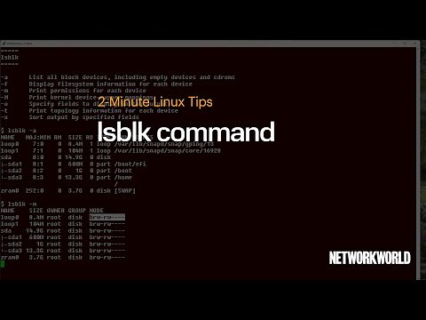 How to use the lsblk command