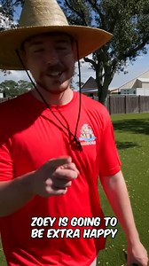 She adopted 7 dogs! #reels #amazing #inspiring #viral #dogs #mrbeast | MrBeast