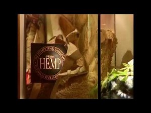 The Marijuana Museum - a cannabis documentary