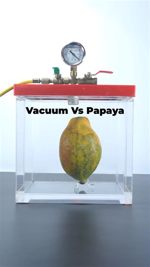 Vacuum vs Papaya (Part 2) — Even More Pressure, Bigger Reaction 💨🍈#scienceexperiment #vacuum