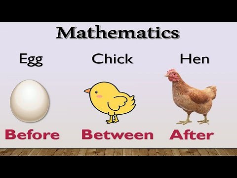Before, After and Between Numbers | Math for Grade 1 and Grade 2 teachers | Before After Between