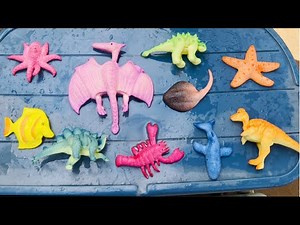 Growing Dinosaurs and Ocean Toys In The Water! Ankylosaurus, Stegosaurus, Octopus, Starfish