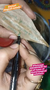 921K views · 10K reactions |  Bay Leaf  Manifestation Magic ✨ Unleash the power of bay leaves for manifesting your dreams! Learn how to use this simple herb to attract abundance, love, and success. Watch and be inspired! ❤️ #BayLeafMagic #Manifestation #Abundance #LawOfAttraction #PositiveVibes #HerbalMagic #Ritual #Spiritual #Mindset #SelfLove #Motivation | Starblliss | Facebook