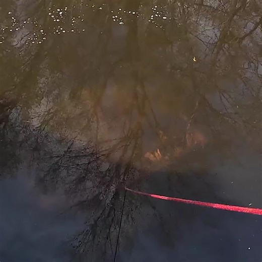 1.1M views · 12K reactions | 7 years missing until now… | Adam Brown Adventures | Facebook