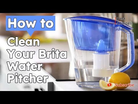 Pure and Refreshing: How to Clean Your Brita Water Pitcher for Optimal Water Quality | Best choices