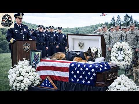 Fallen K 9 cop honored by hundreds | top best dog training techniques