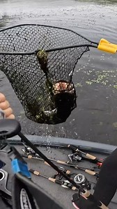 4.9K reactions · 45 shares | It’s a GIANT. Raw and *mostly* unfiltered cast to catch on the biggest bass of the tourney! Fishing a spinning rod around this much grass is always a little nerve-wracking… but, I have so much confidence in this @fenwickfishing 71MHF world class rod to get these monsters out! Also love the support I got back at the ramp 凉 Would you guys fish a spinning rod in this situation? #bigbass #bassfishing #girlswhofish | Kristine Fischer | Facebook