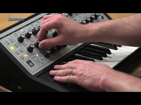 Moog Sub Phatty Synthesizer Demo — Daniel Fisher